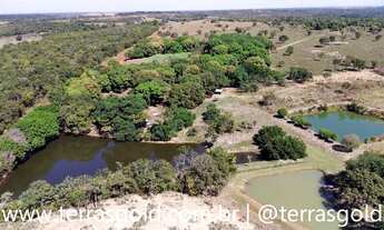 Imagem 2: Sítio à venda, Ideal para sem confinamento, piscicultura, pesque-pague e usina solar, 39ha