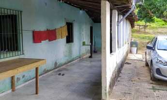 Imagem: Sitio zona rural igarassu,4 hectares