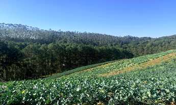 Imagem 7: Grande oportunidade de Sítio em Ibiúna!