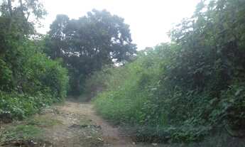 Imagem 3: TERRENO COMERCIAL COM 10 MIL M2 PARA EMPREENDIMENTO