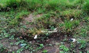 Imagem 4: Terreno à venda medindo 300 m², 12,00 m x 25,00 m, em Bairro em crescimento com várias obr