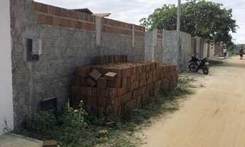 Imagem 6: Terreno na PIPA. limpo, plano e murado, 500 metros da praia de Cacimbinhas