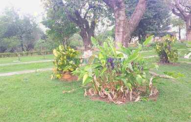 Imagem 4: Valinhos - Chacara - Country Ville