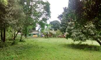 Imagem 5: GRAVATAí - Terreno Padrão - Morungava