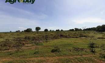 Imagem 4: Fazenda Com 1039 Alqueires Localizada em Santa Rita To