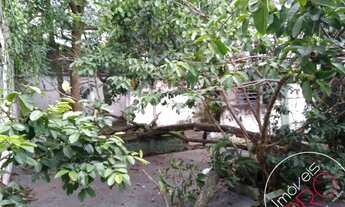 Imagem 4: Galpão, Vila Alexandria - São Paulo