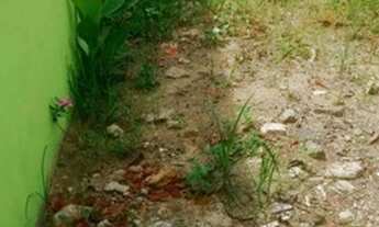 Imagem 3: Casa barata no litoral - aceita parcelas - Itanhaém/Sp CA896