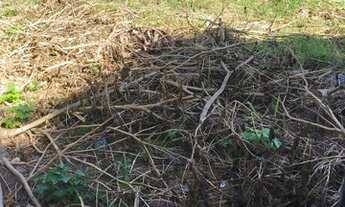 Imagem: Rio das Ostras - Terreno Padrão - Costa
