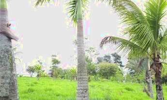 Imagem 4: Terreno para condomínio familiar