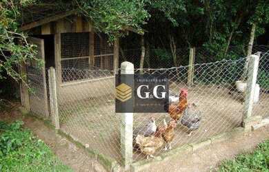 Imagem 4: Sítio com 3 dormitórios à venda, 26420 m² por R$ 550.000,00 - Sitio São José - Viamão/RS