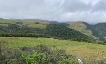 Imagem 2: Área Rural com 166,83ha de área total, para venda. Vacas Gordas, Urubici (SC
