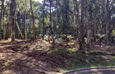 Imagem 6: GRAMADO - Terreno Padrão - Vila Moura