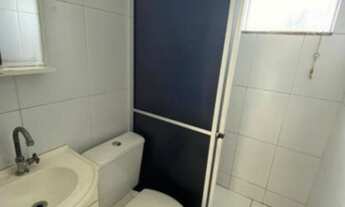 Imagem 7: Casa em goiaberas