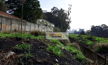 Imagem 4: Terreno comercial à venda, Vila Liviero, São Paulo