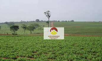 Imagem 4: Fazenda á venda em Rancharia - Municipio São Paulo