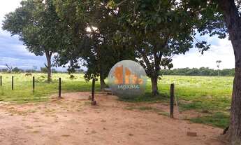 Imagem 2: Fazenda, 4000 hectares - venda por R$ 30.000.000 - Ribeirão Cascalheira/Mato Grosso