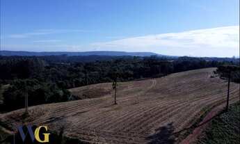 Imagem 2: Chácara para Venda em Balsa Nova, Bugre/Rodeio Santo Antônio