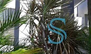 Imagem 6: Casa com 3 dormitórios à venda, 274 m² por R$ 2.500.000 - Alphaville Nova Esplanada IV - V