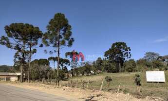 Imagem 4: Terreno à venda, 690 m² por R$ 170.000,00 - Bateias - Campo Largo/PR
