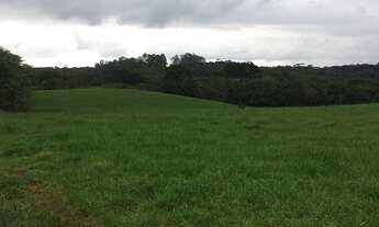 Imagem 7: Chácara com 78605 m2 Cachueira 2.000.000.00