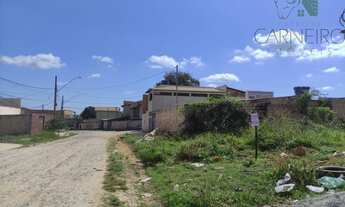 Imagem 3: Lote 360 m² murado