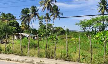 Imagem: Excelente área à beira da lagoa em Marechal