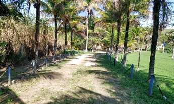 Imagem 2: Lindo Sitio Chácara com venda por R$1.300.000