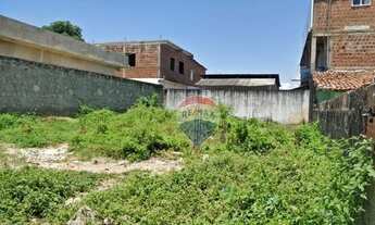 Imagem 3: Terreno à venda medindo 200m² em Curcurana - Jaboatão dos Guararapes/PE (Código: TE0292)