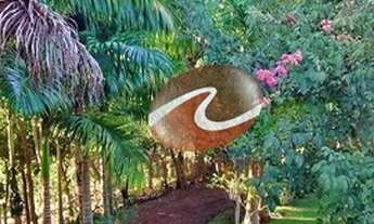 Imagem 7: Sítio com 3 dormitórios à venda, 44000 m² por R$ 1.300.000,00 - dos Forros - Monteiro Loba