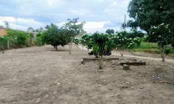 Imagem 6: Oportunidade - Chácara em Paulo Jacinto - Na cidade - aceita permutas por CASA em Maceió