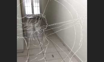 Imagem 6: Casa para venda com 120 m² com 2 quartos em Jardim das Laranjeiras - Limão - Casa Verde