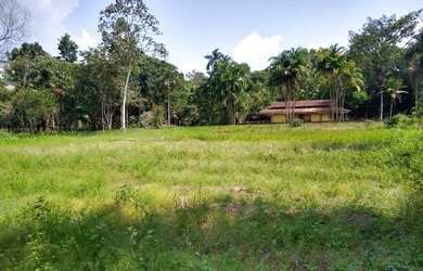 Imagem 7: Vendo Sítio em Marituba com quase 5 Hectares de terra, terreno todo documentado