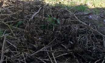 Imagem 4: Rio das Ostras - Terreno Padrão - Costa Azul/Colinas