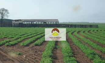 Imagem 3: Fazenda á venda em Rancharia - Municipio São Paulo