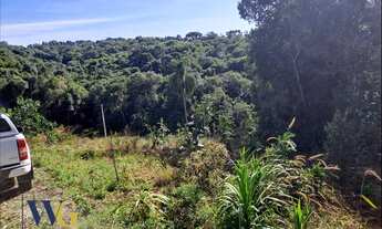 Imagem 3: Chácara para Venda em Balsa Nova, Rodeio Santo Antônio/Campina