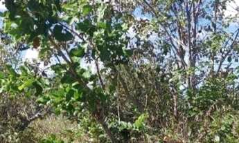 Imagem 5: TERRENO RESIDENCIAL em CAMAÇARI - BA, COQUEIROS DE AREMBEPE (ABRANTES