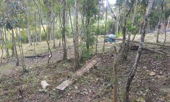 Imagem 7: Sítio para venda com 1500 metros quadrados em Camboriú - SC