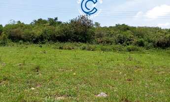 Imagem 4: Terrenos no Loteamento à venda, Triunfo-PE