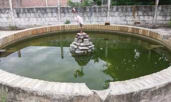 Imagem 7: BELÍSSIMA CHÁCARA NO CENTRO DA VALORIZAÇÃO DO EUSÉBIO