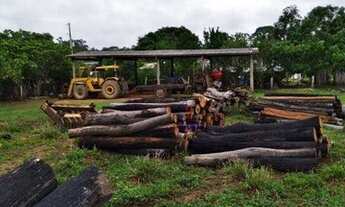 Imagem 6: Fazenda à venda, por R$ 15.000.000 - Zona Rural - Porto Velho/RO