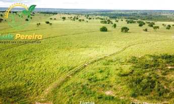 Imagem: FAZENDA À VENDA EM RIBAS DO RIO PARDO-MS-DE