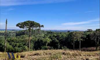 Imagem 1: Chácara para Venda em Balsa Nova, Bugre/Rodeio Santo Antônio