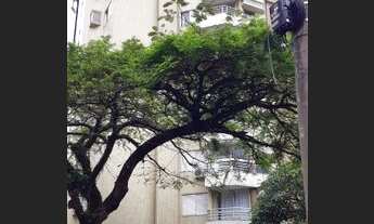 Imagem 2: Venda Apartamento Florianópolis SC