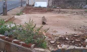 Imagem: TERRENO AVENIDA DA SAUDADE