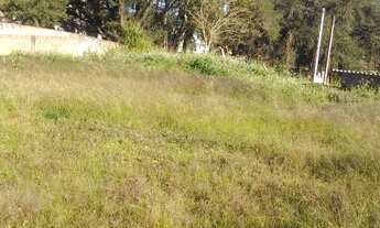 Imagem 7: Excelente Lote com 600 m2 sem benfeitoria campina taguaral 170.000