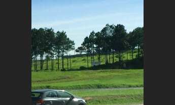 Imagem: Lote/Terreno para aluguel e venda tem 10900