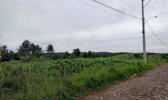 Imagem 6: Terreno em Dois Irmãos - bairro Beira Rio REF: 210480