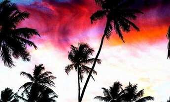 Imagem 3: Lotes em Busca vida a partir de 1.000 m² !!