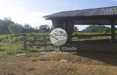 Imagem 2: Jaru - Sítio - Fazenda / sítio com venda por R$3.200.000