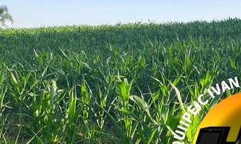 Imagem 6: Terreno em Ibiúna com Fácil Acesso a Capital de SP